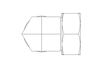 Threaded elbow connector L 42 St ISO8434