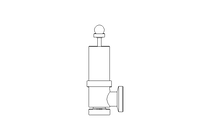 SAFETY VALVE