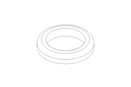 Dichtring G DN15 EPDM DIN11851