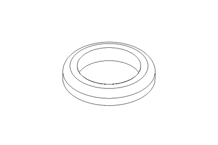 GASKET          G 15 DIN 11851