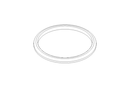 Sealing ring G DN65 FPM DIN11851