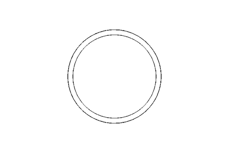 SEALING RING G 80 FPM  DIN 11851