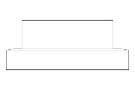 Raccord fileté SC DN65 1.4404 DIN11851