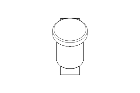 Strainer DN065 Schraegsitz 1.4404