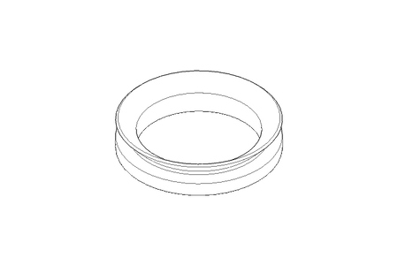 V-ring seal 35S 31x4 NBR