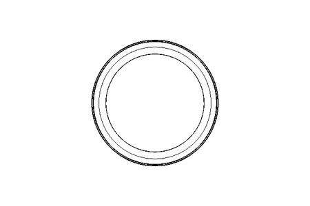 GLYD 环 PT 39x50x4,2 PTFE