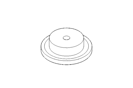 RUOTA PER CATENA