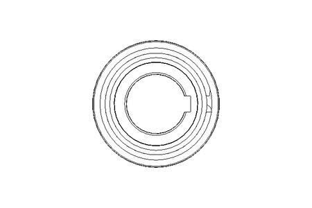 RODA LIVRA      AS 30