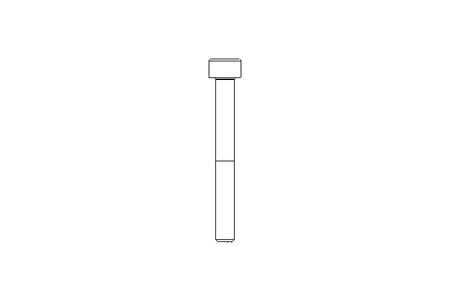 Parafuso Allen M5x45 12.9 DIN912