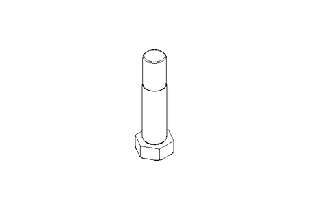 SCREW               M24X105 A2