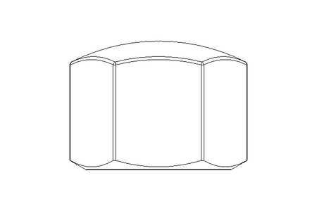 Ecrou borgne hexagonal M16 A2 DIN917