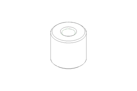 Threaded nut TR24x5 PA