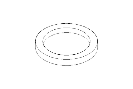 Dichtung Promag H/Dosimag OEM