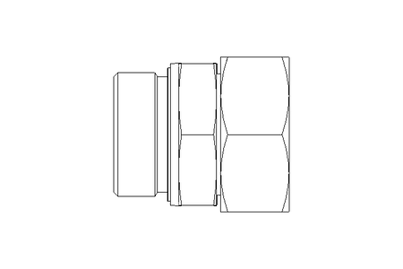 Raccordo a vite L 42 G 1 1/2" St DIN3865