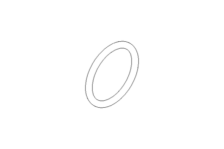 O-RING