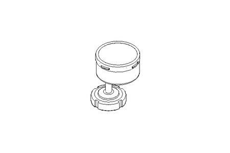 PRESSURE GAUGE RChG 100-3vDW DN40