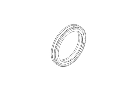 Grooved ring PTS 48x60x7.5