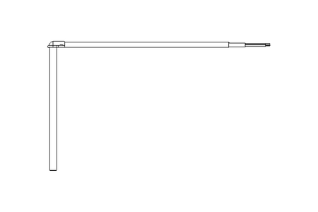 THERMO-SONDE A EXTREMITE