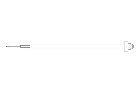 THERMO-SONDE A EXTREMITE