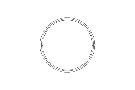 Sealing ring G DN100 NBR DIN11851